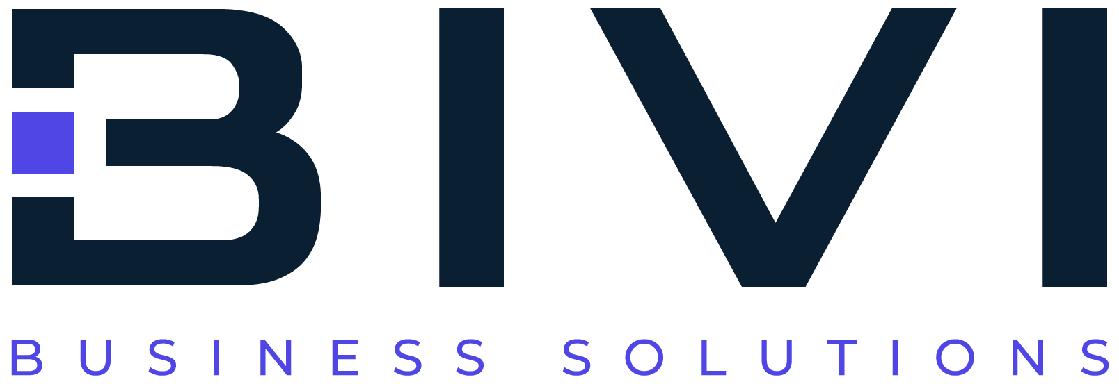 BIVI Business Solutions